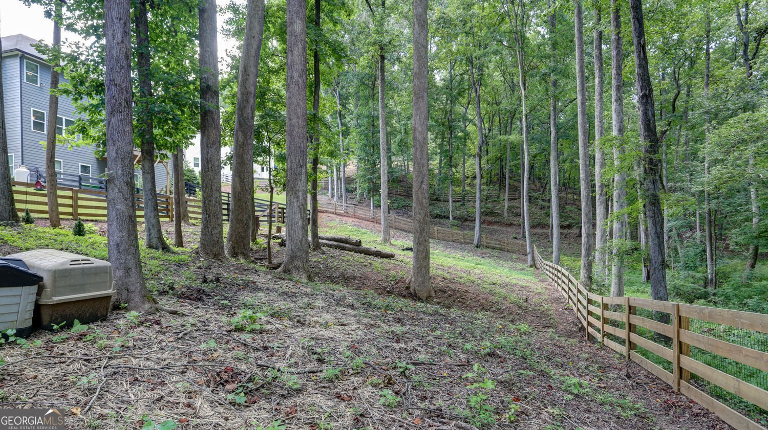 1 Grey Swan Way Way Dawsonville - 34
