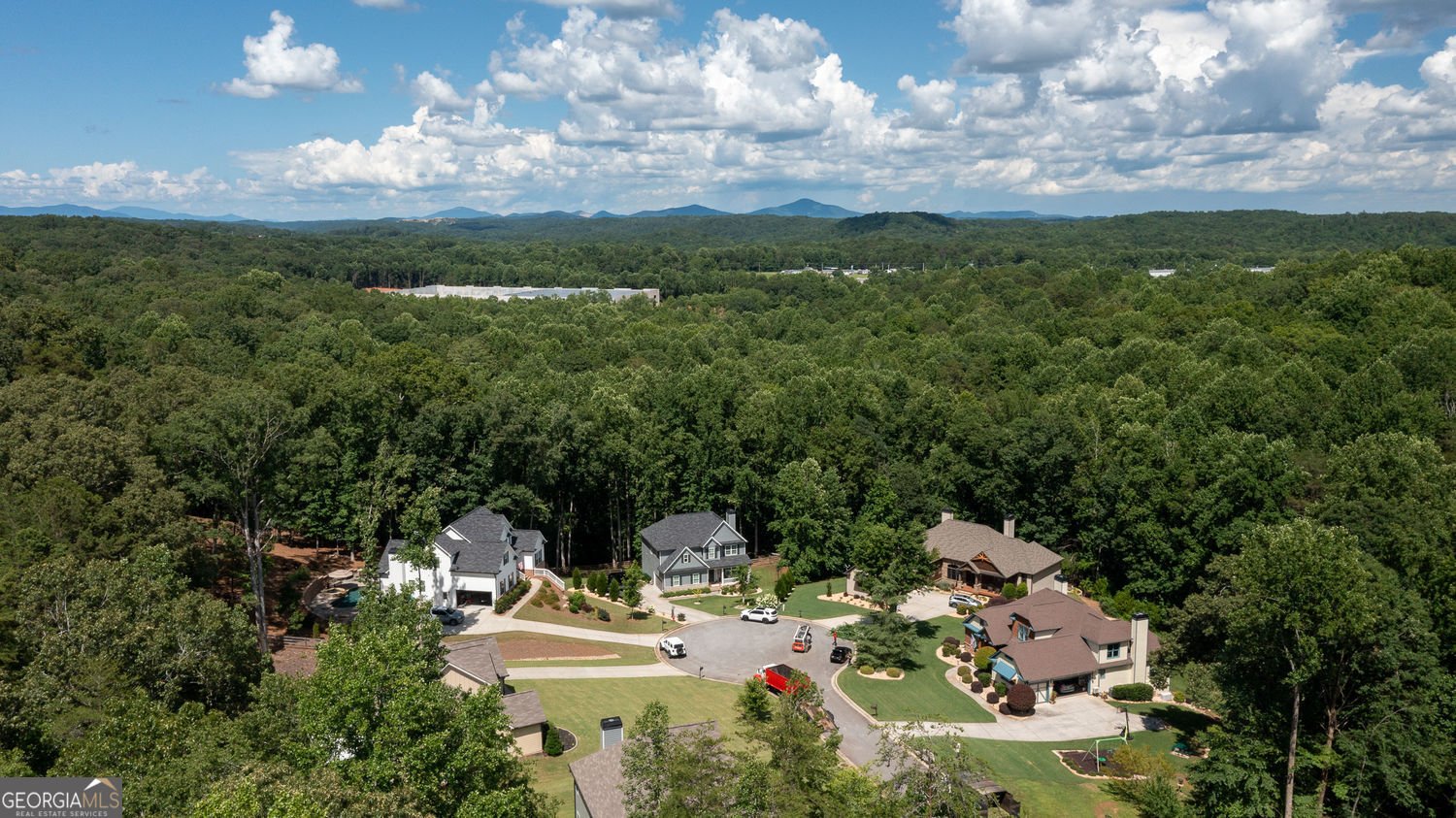 1 Grey Swan Way Way Dawsonville - 4