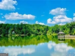 1 Grey Swan Way Way Dawsonville - 6