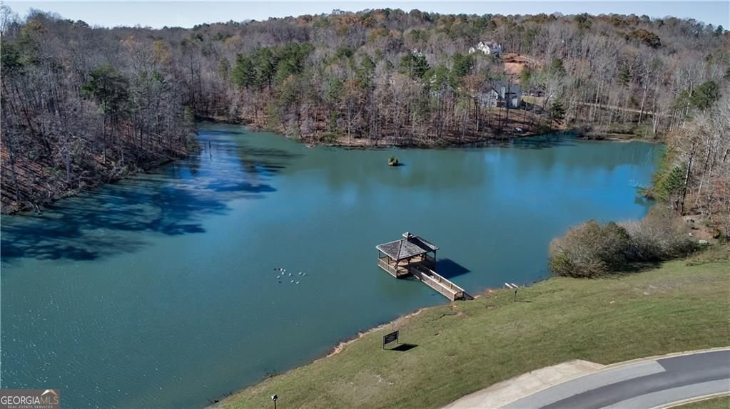 1 Grey Swan Way Way Dawsonville - 9