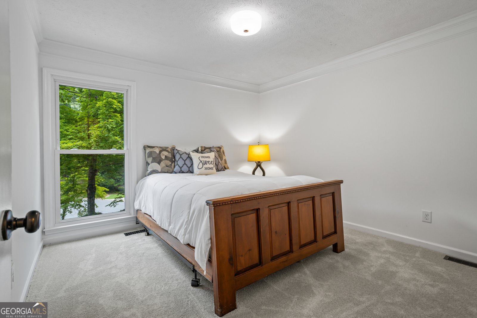 1595 Sandpoint Drive Roswell - 28
