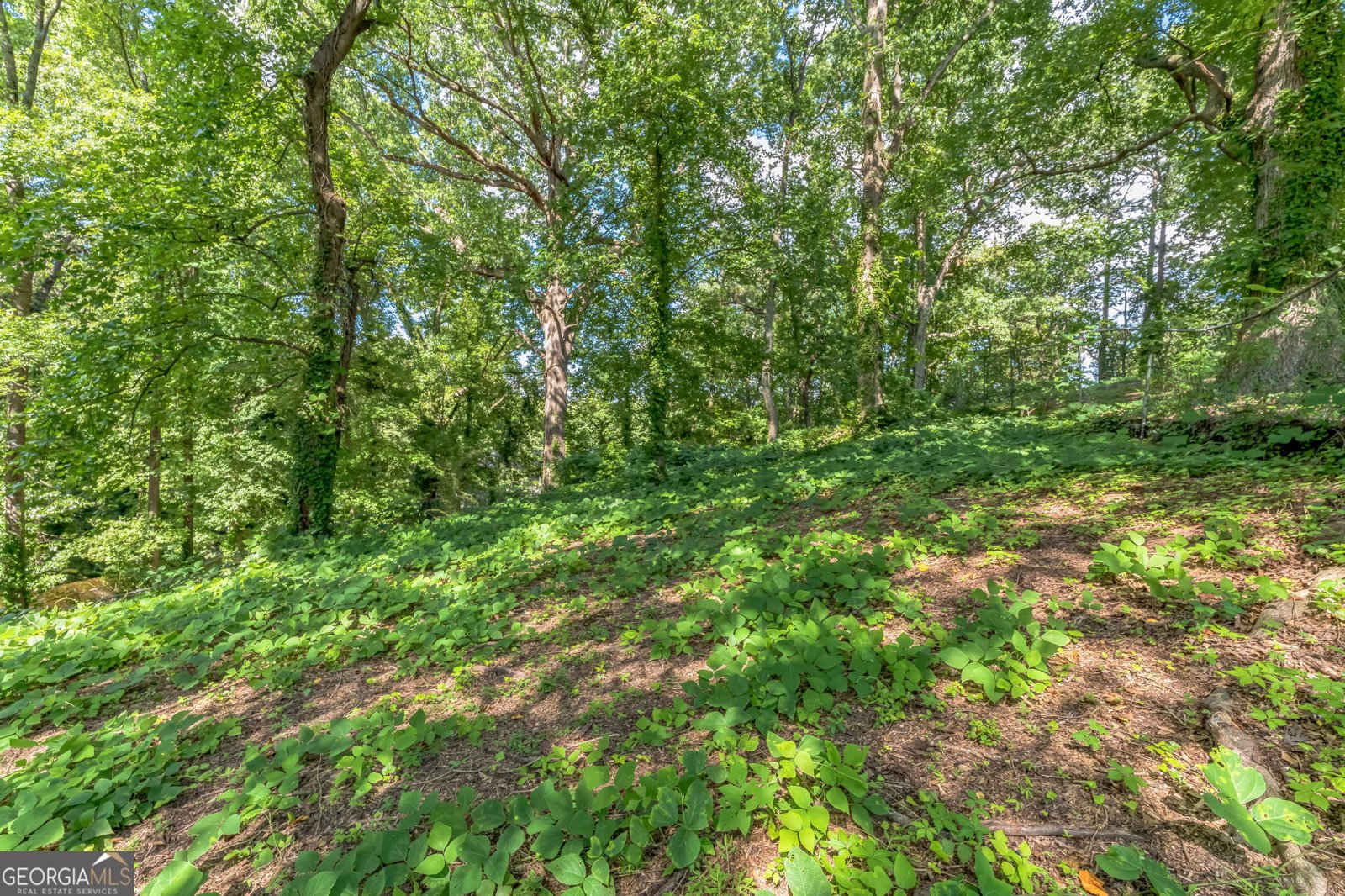 145 Sewanee Avenue Atlanta - 24