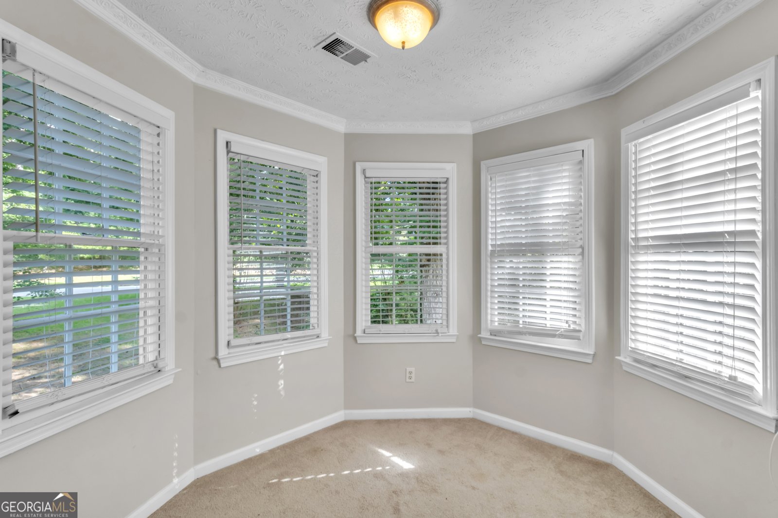 125 Lake Picketts Drive Acworth - 20
