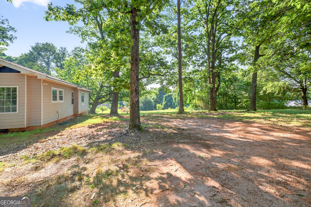 419 Tanner Road Dacula - 4