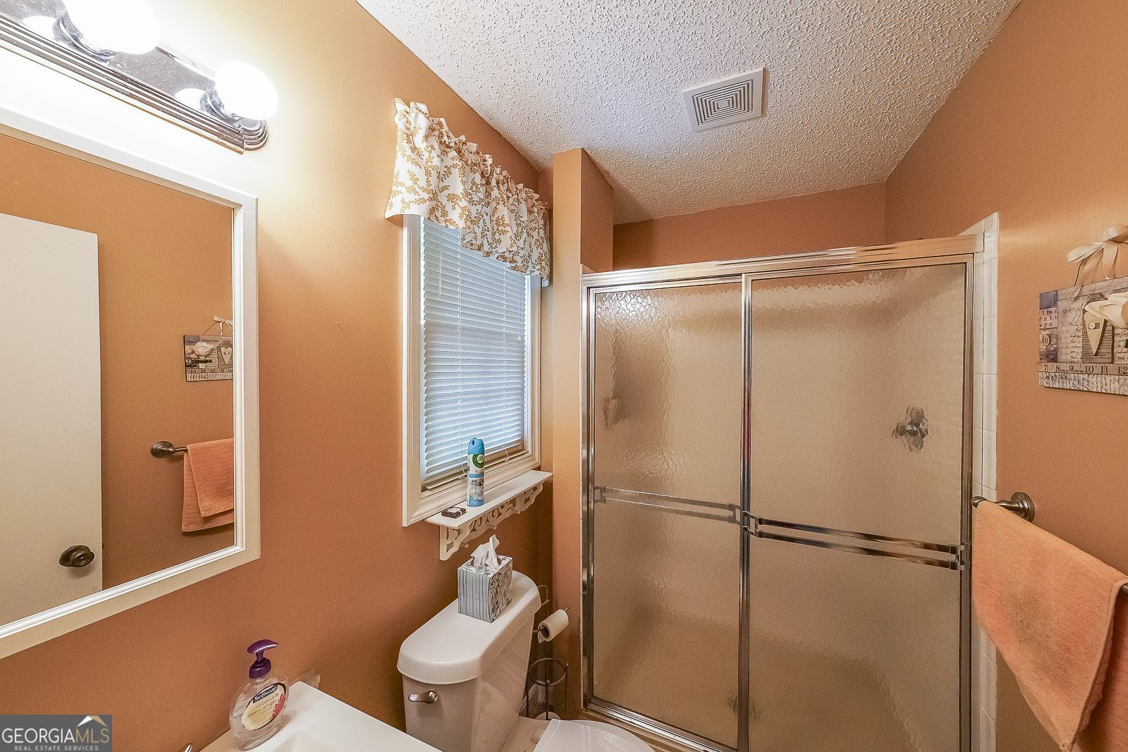 984 Chestatee Point Dawsonville - 12