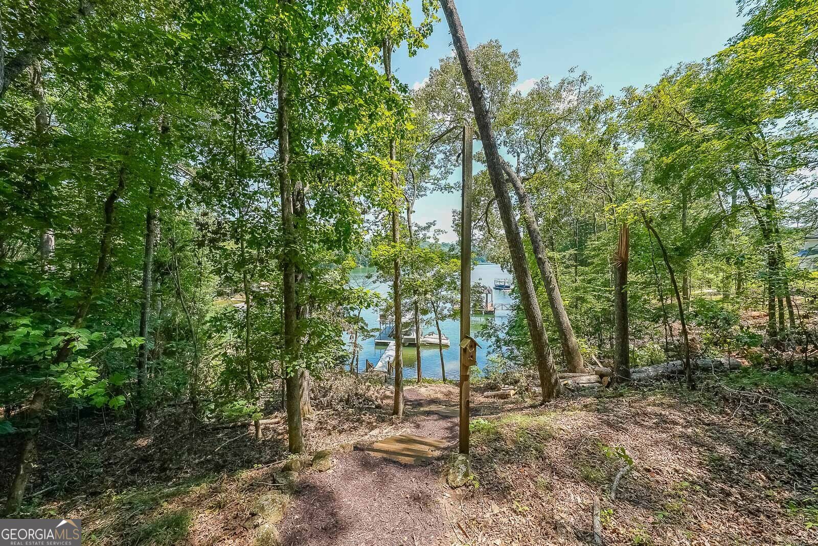 984 Chestatee Point Dawsonville - 6