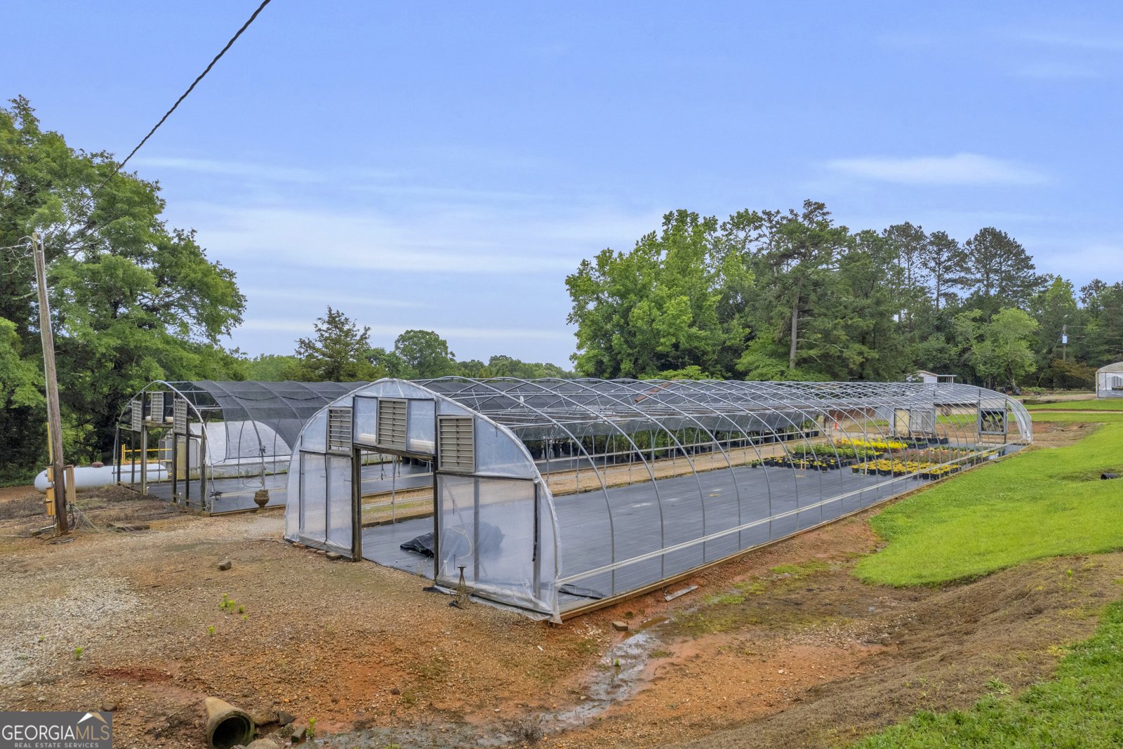 10325 Double Bridges Road Winterville - 33