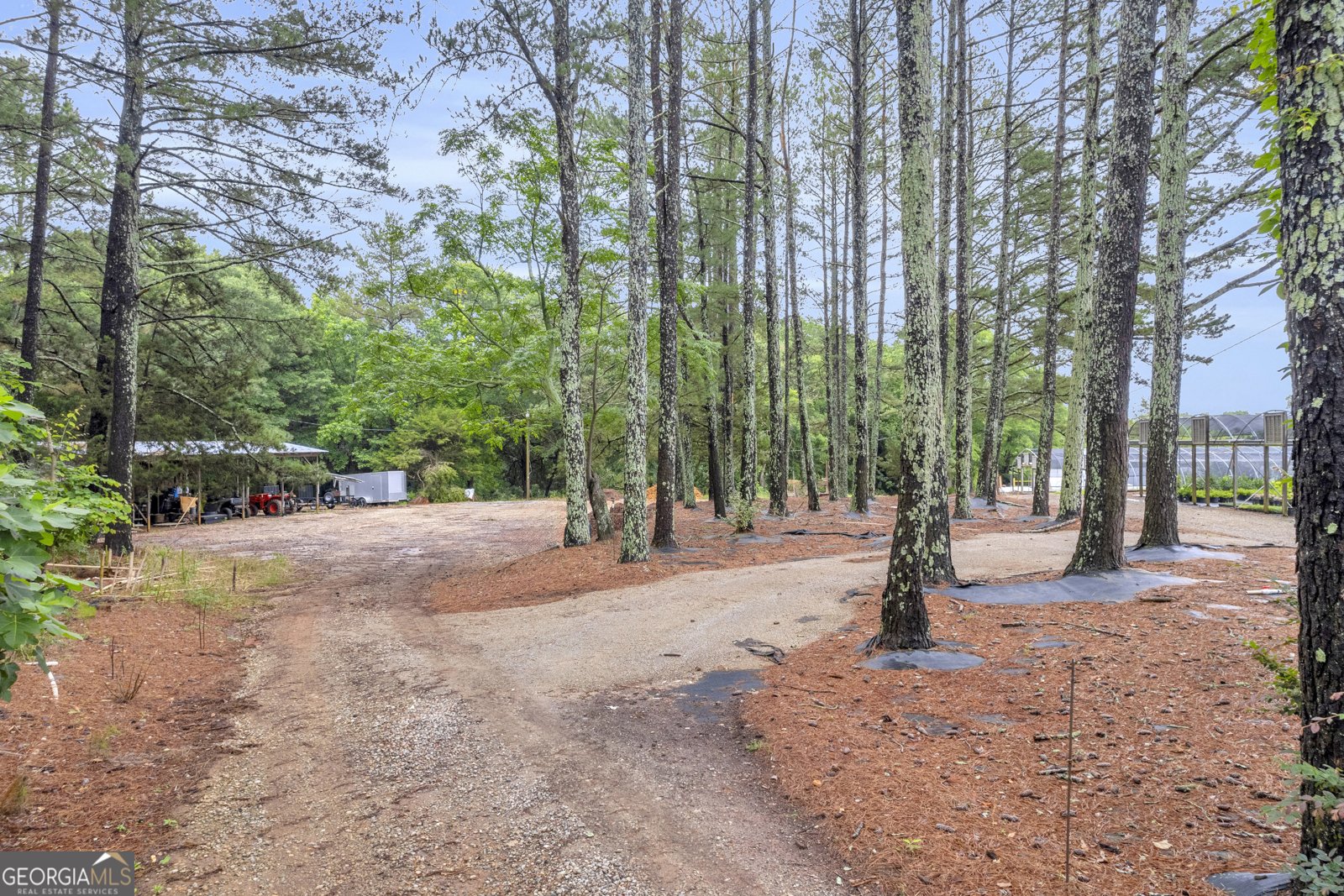 10325 Double Bridges Road Winterville - 37