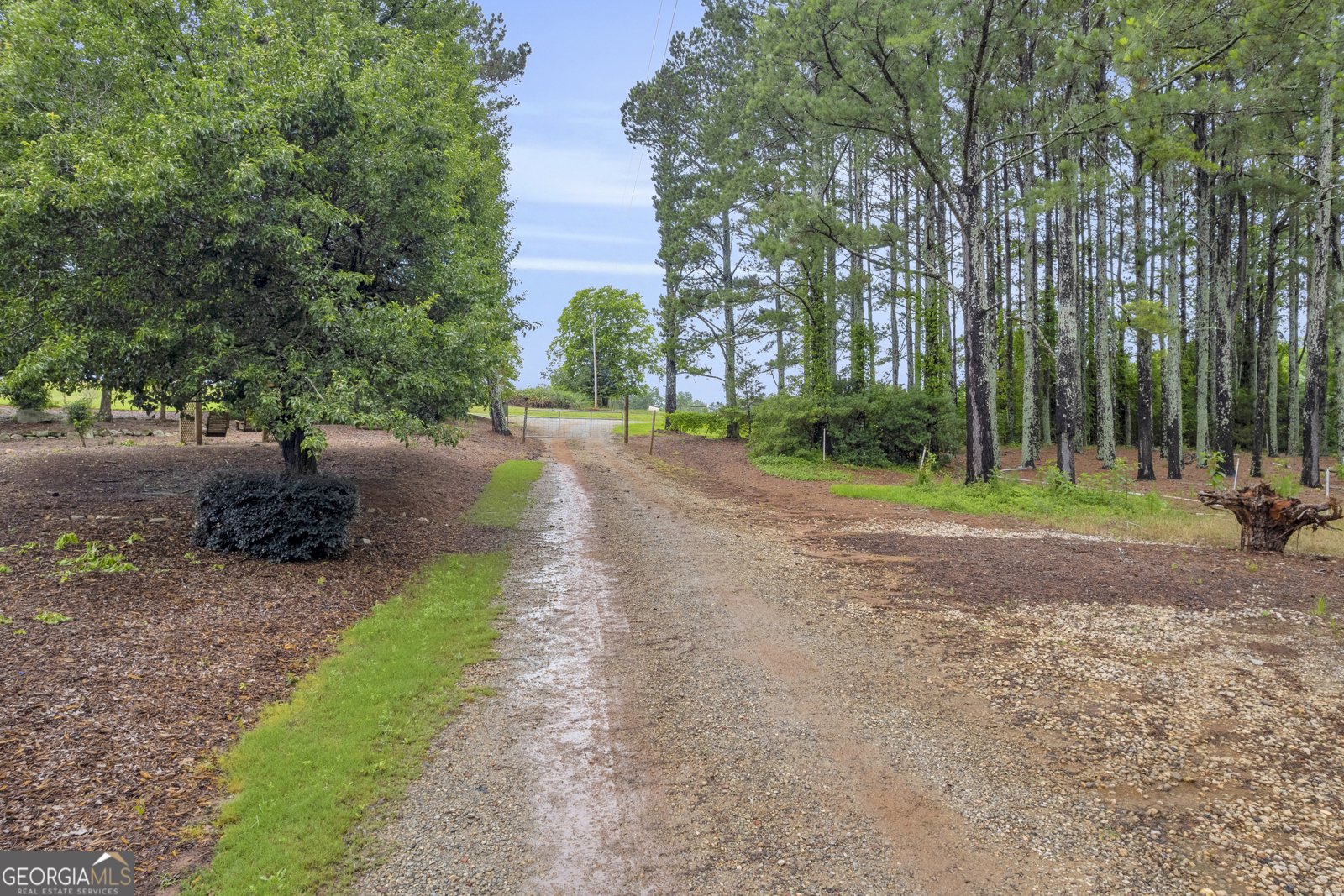 10325 Double Bridges Road Winterville - 38