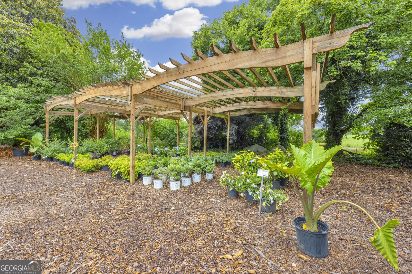 10325 Double Bridges Road Winterville - 52