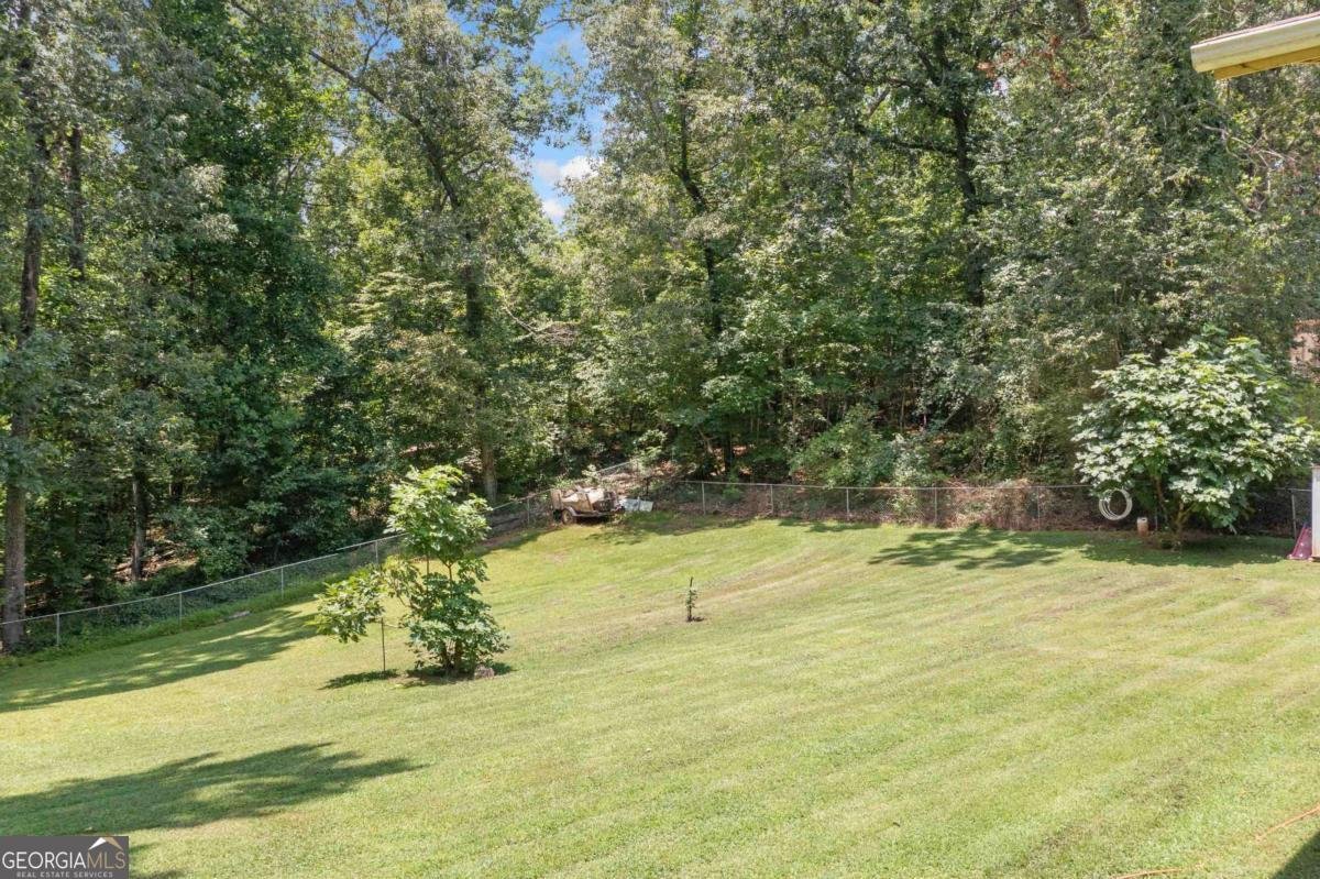 3838 Chattahoochee Drive Douglasville - 26