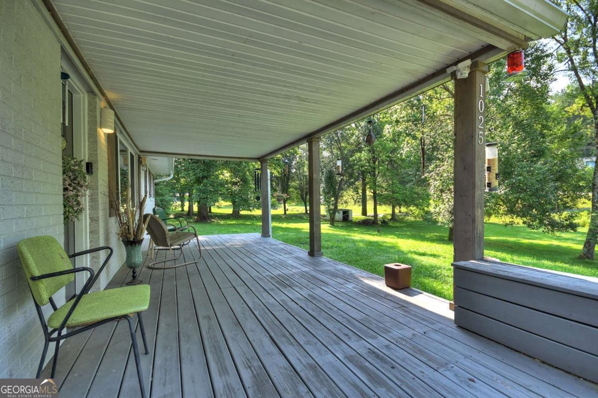 1025 Mineral Bluff Highway Mineral Bluff - 2