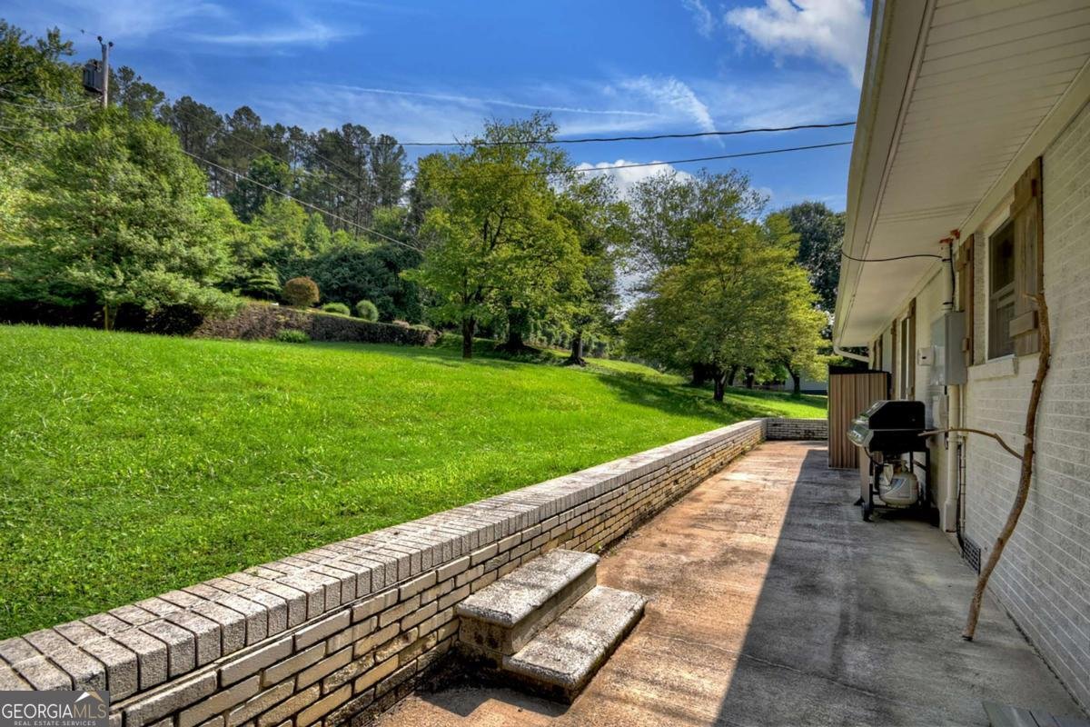 1025 Mineral Bluff Highway Mineral Bluff - 28