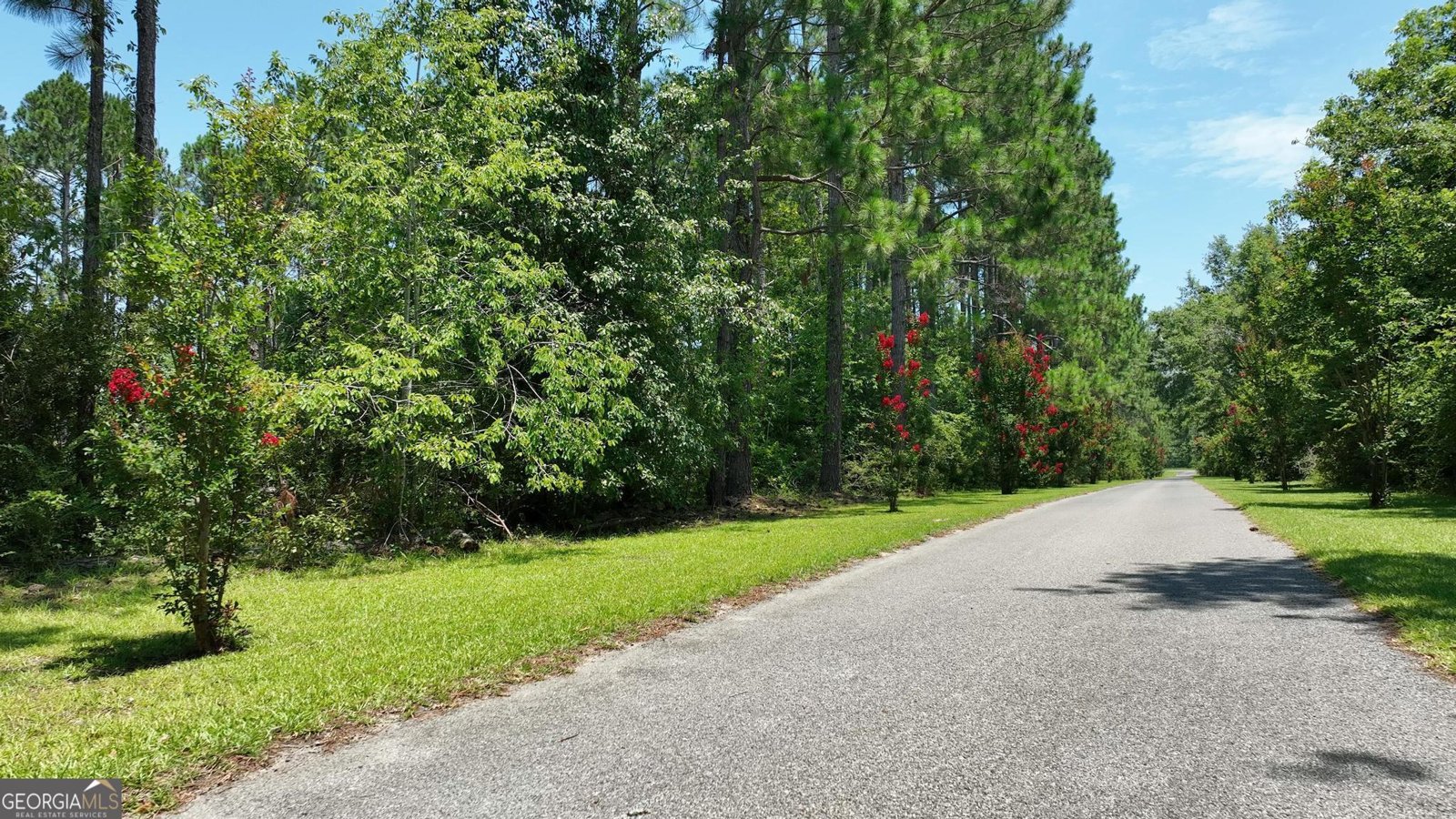 7268 Banks Dairy Road Statesboro - 24