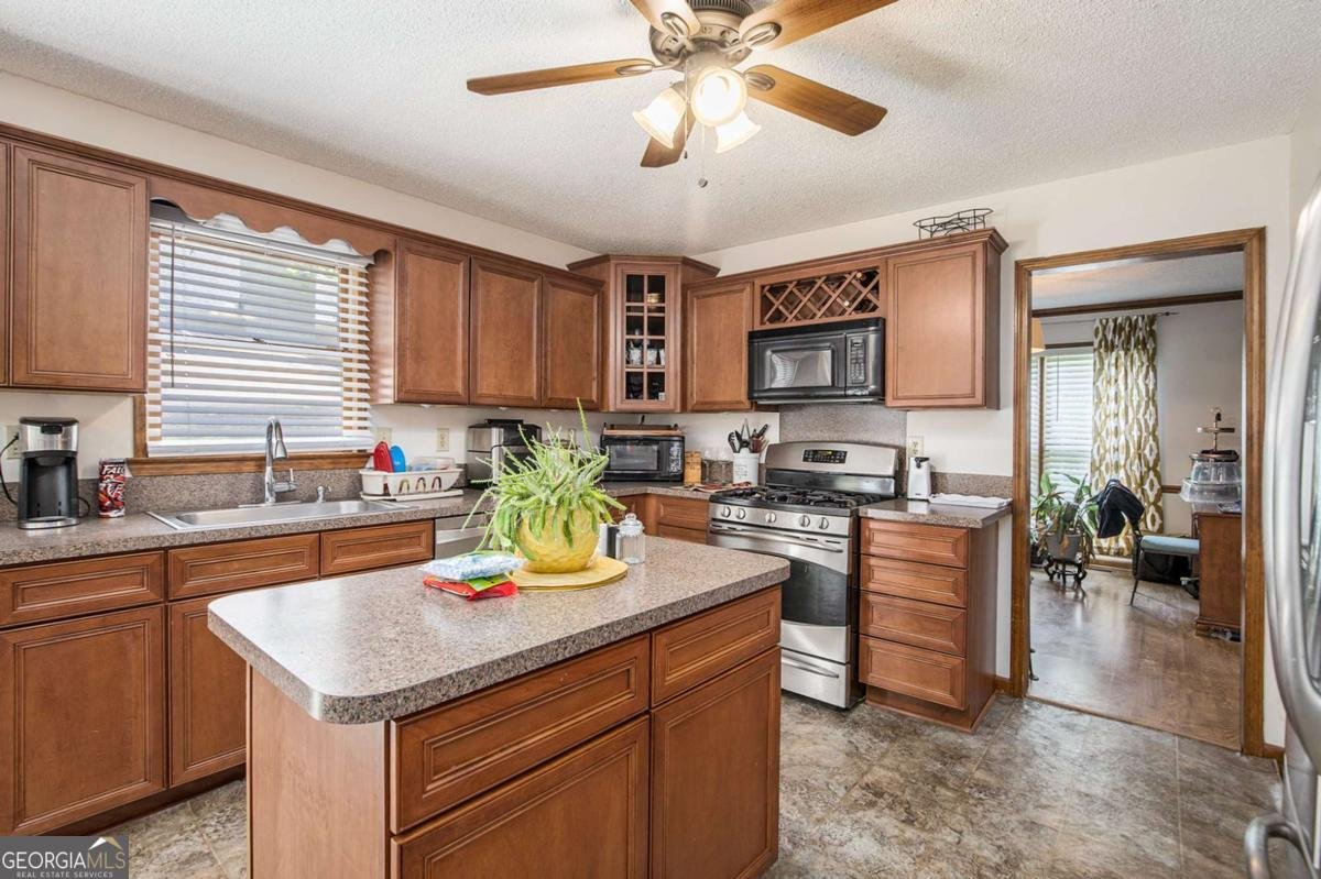 254 Swan Drive Hiram - 11