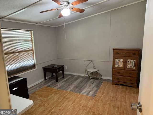 1320 Franklin Co Boat Ramp Road Lavonia - 10