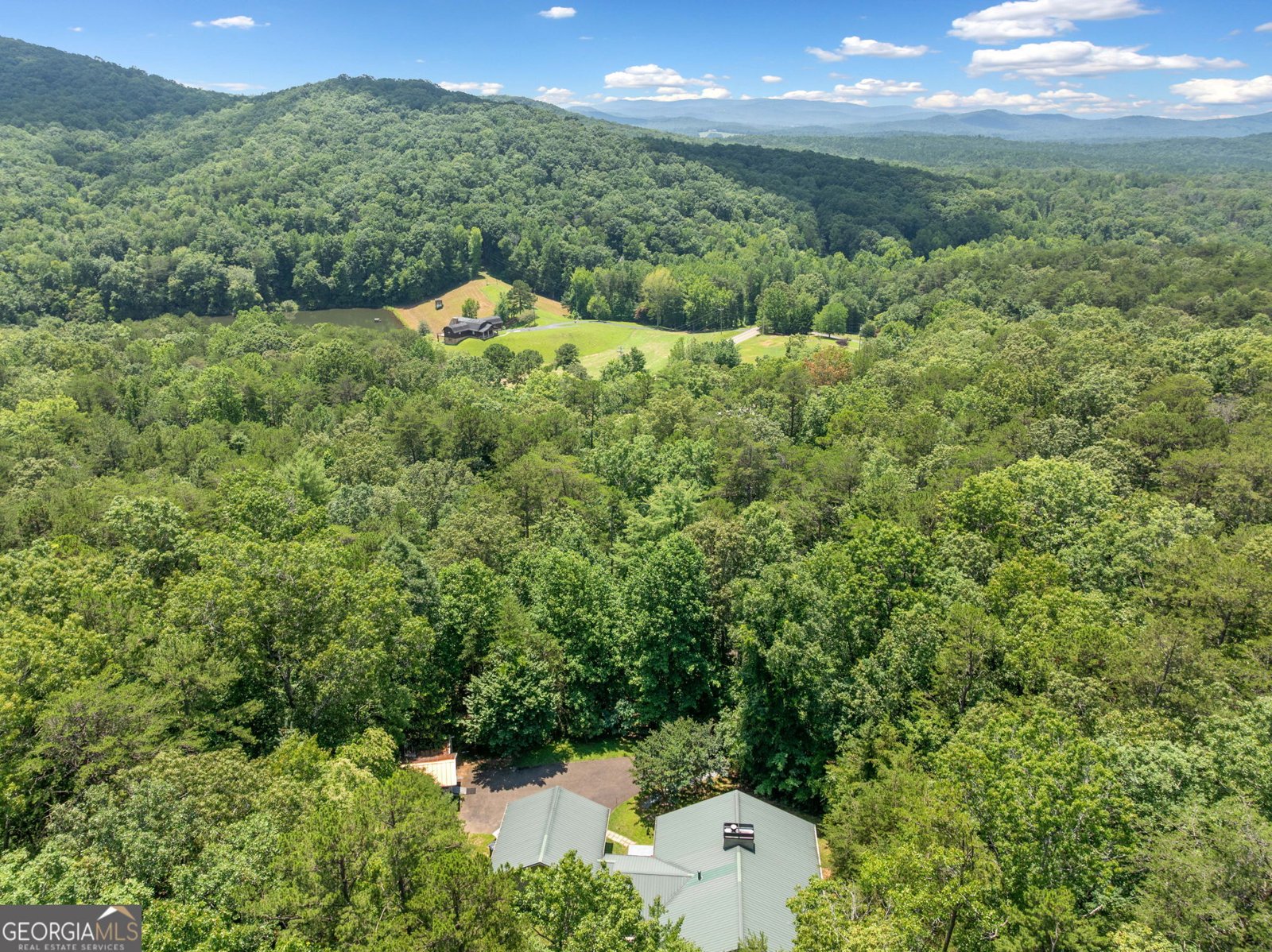 9121 Roy Road Road Ellijay - 19