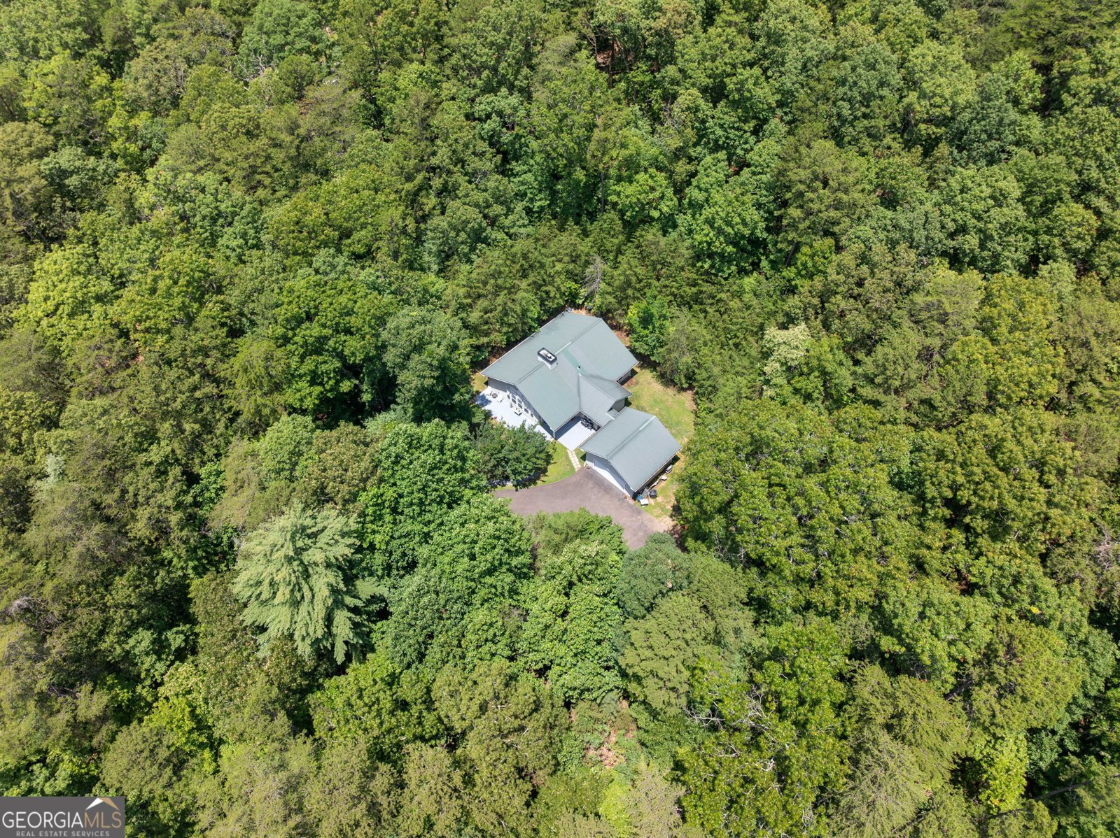 9121 Roy Road Road Ellijay - 20