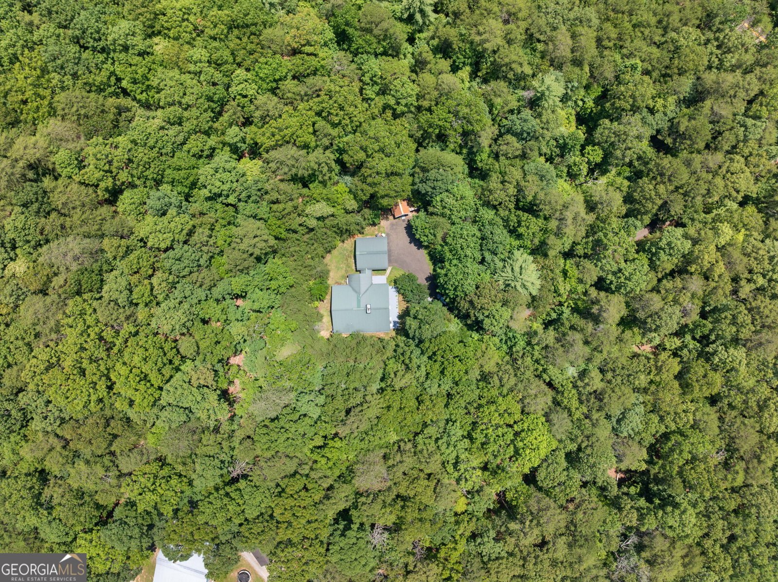 9121 Roy Road Road Ellijay - 21