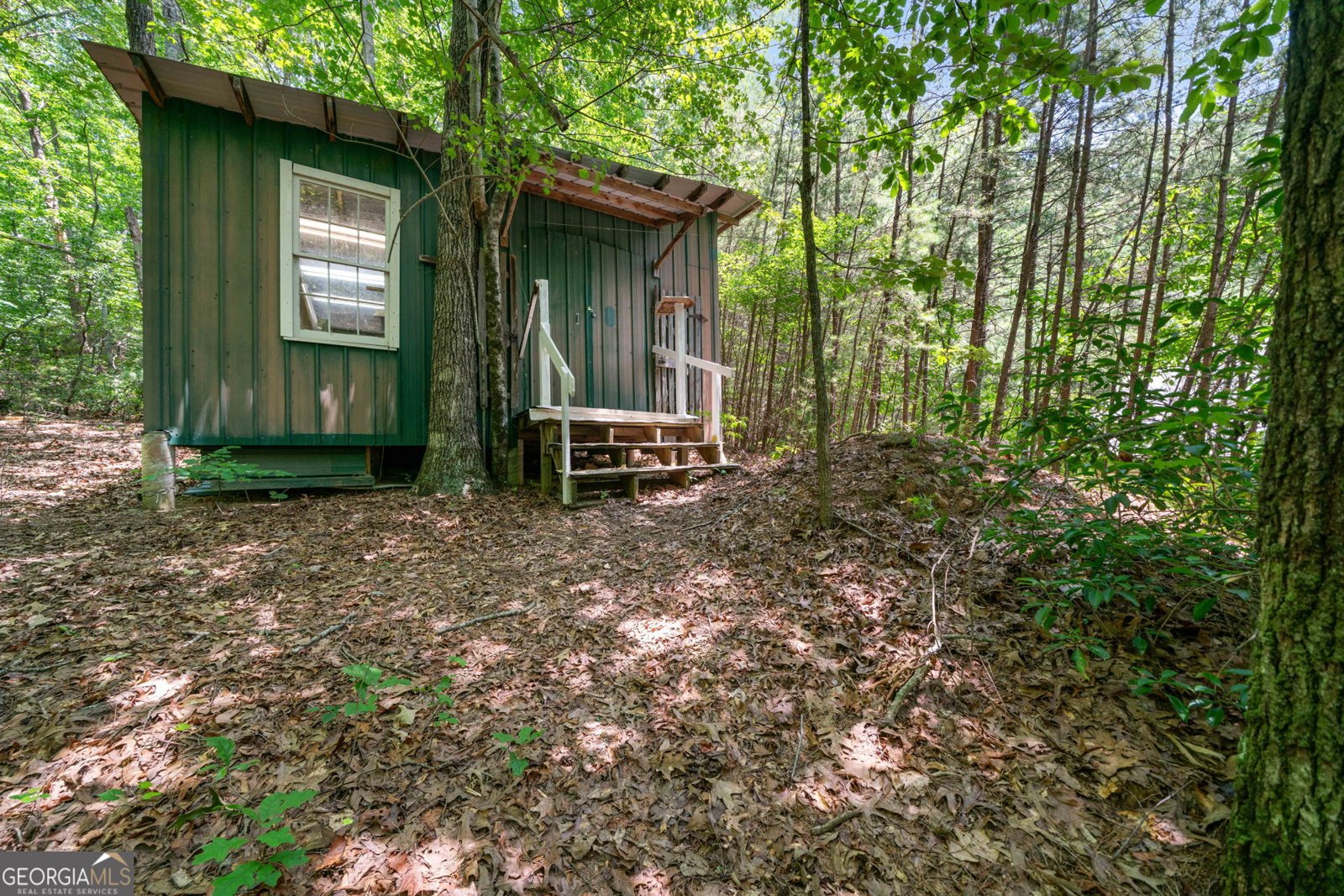 9121 Roy Road Road Ellijay - 27