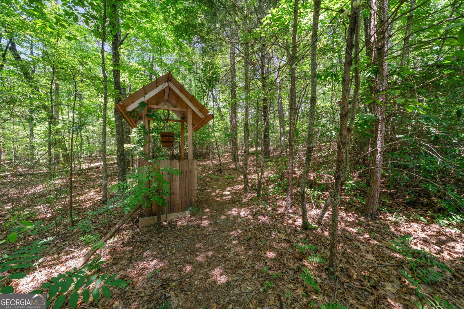 9121 Roy Road Road Ellijay - 28