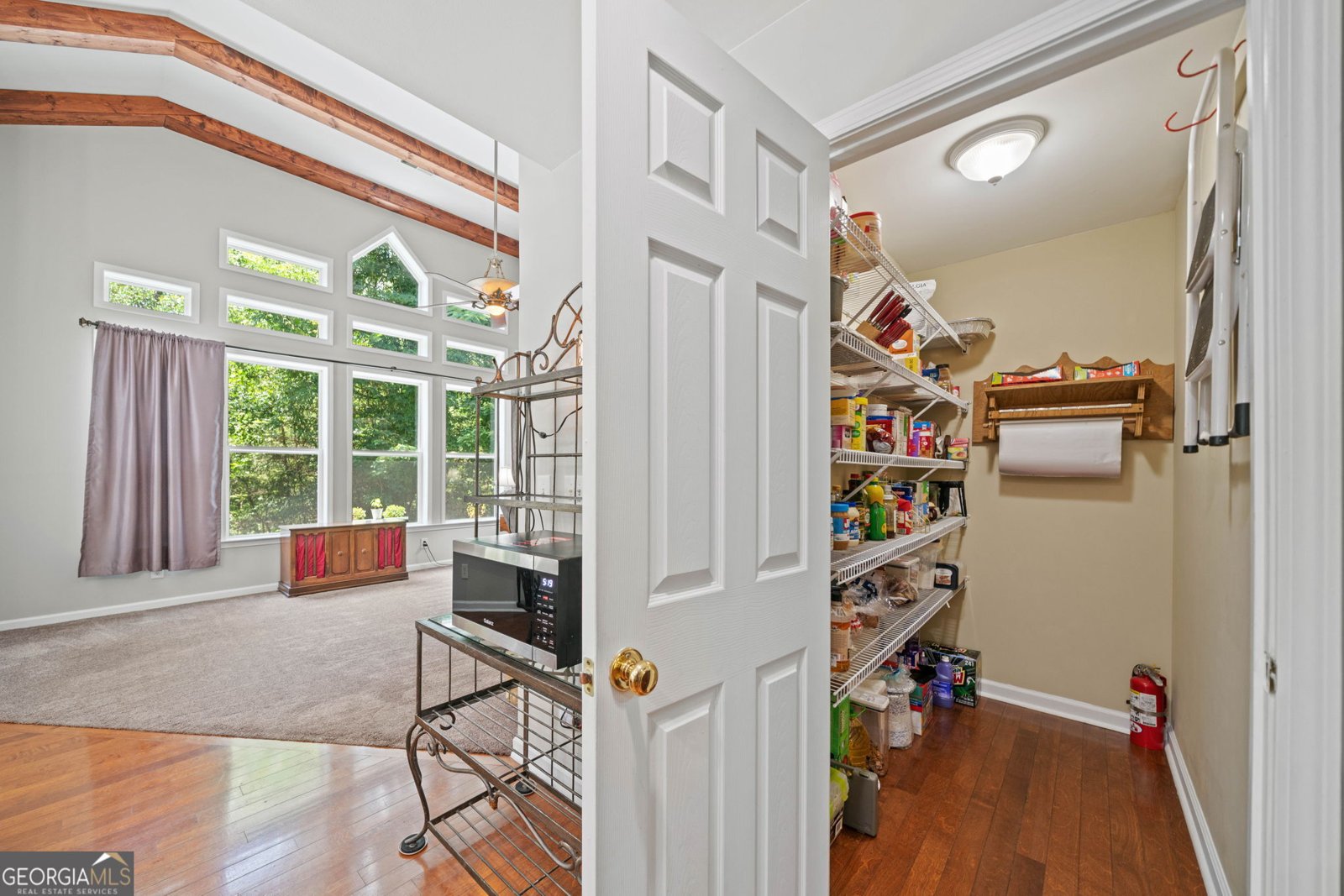 9121 Roy Road Road Ellijay - 36