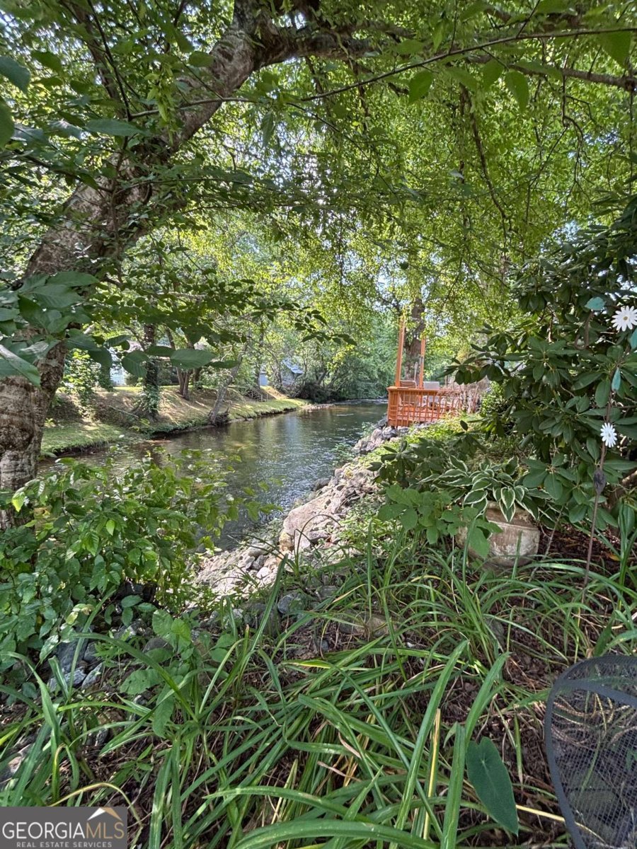 4119 Riverbank Run Hiawassee - 54