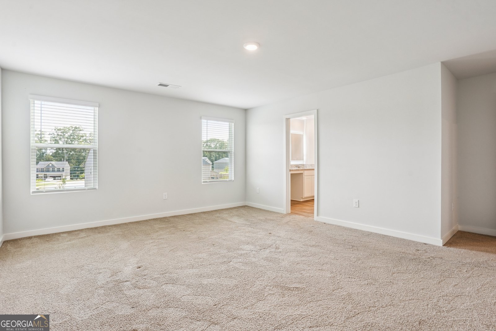 946 Teabiscuit Way McDonough - 19