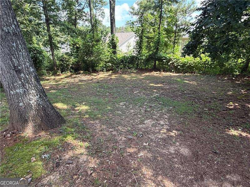 2237 Rocksram Court Buford - 17