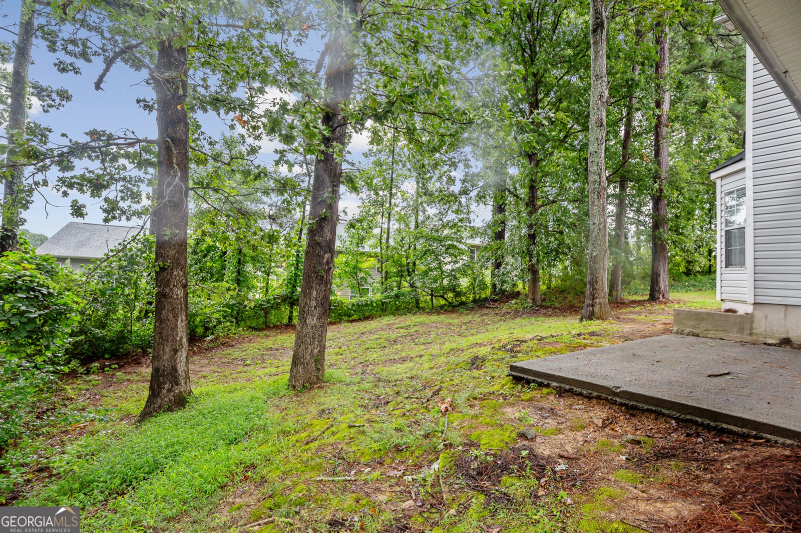 2237 Rocksram Court Buford - 40