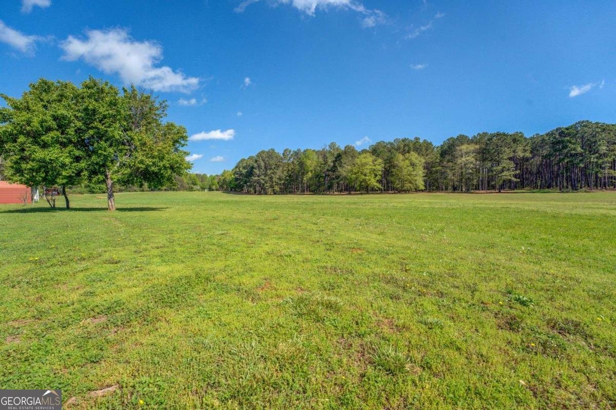 3011 Broughton Road Newborn - 53