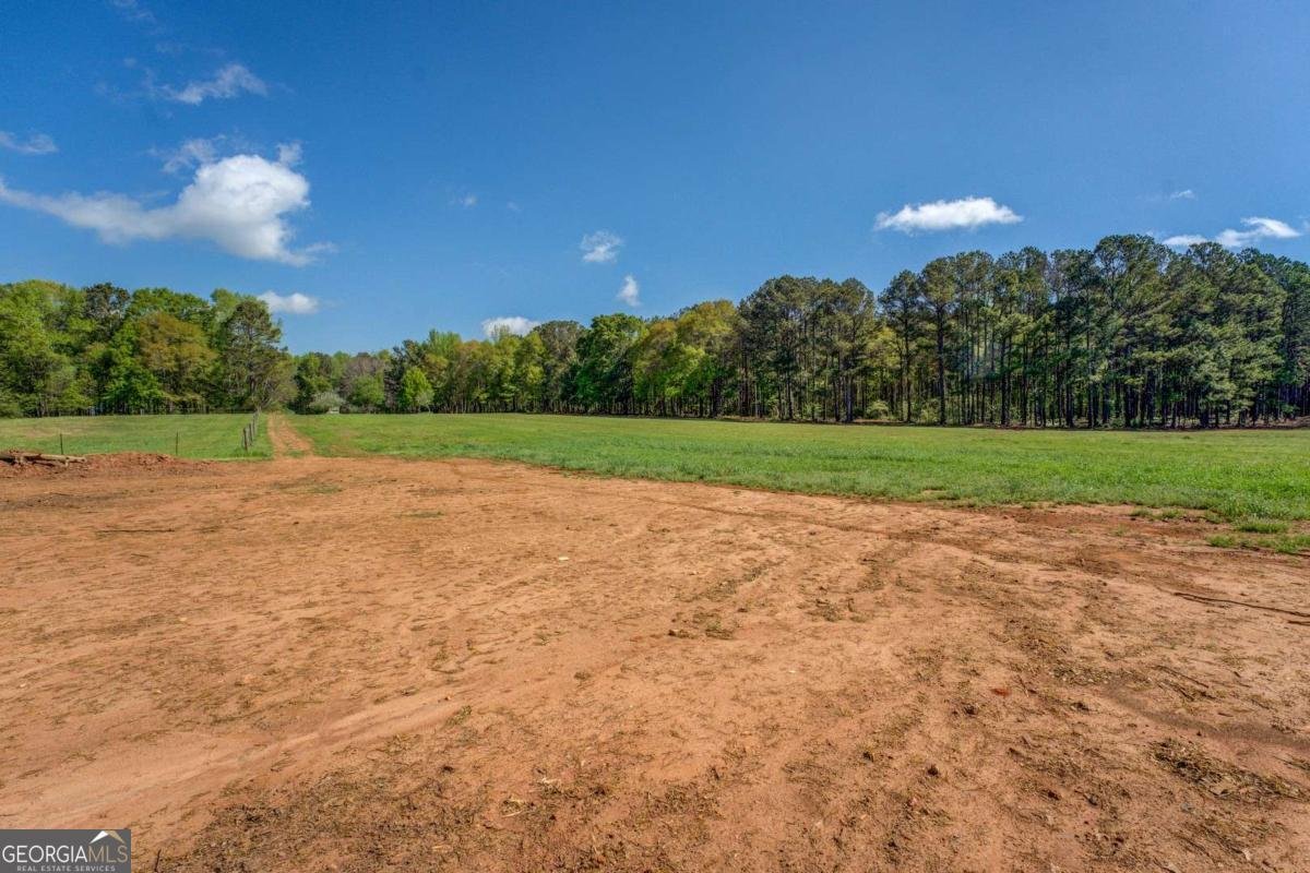 3011 Broughton Road Newborn - 57