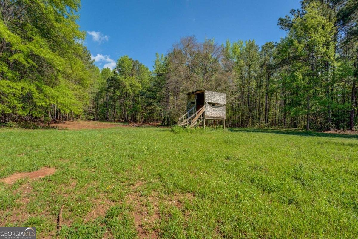 3011 Broughton Road Newborn - 59