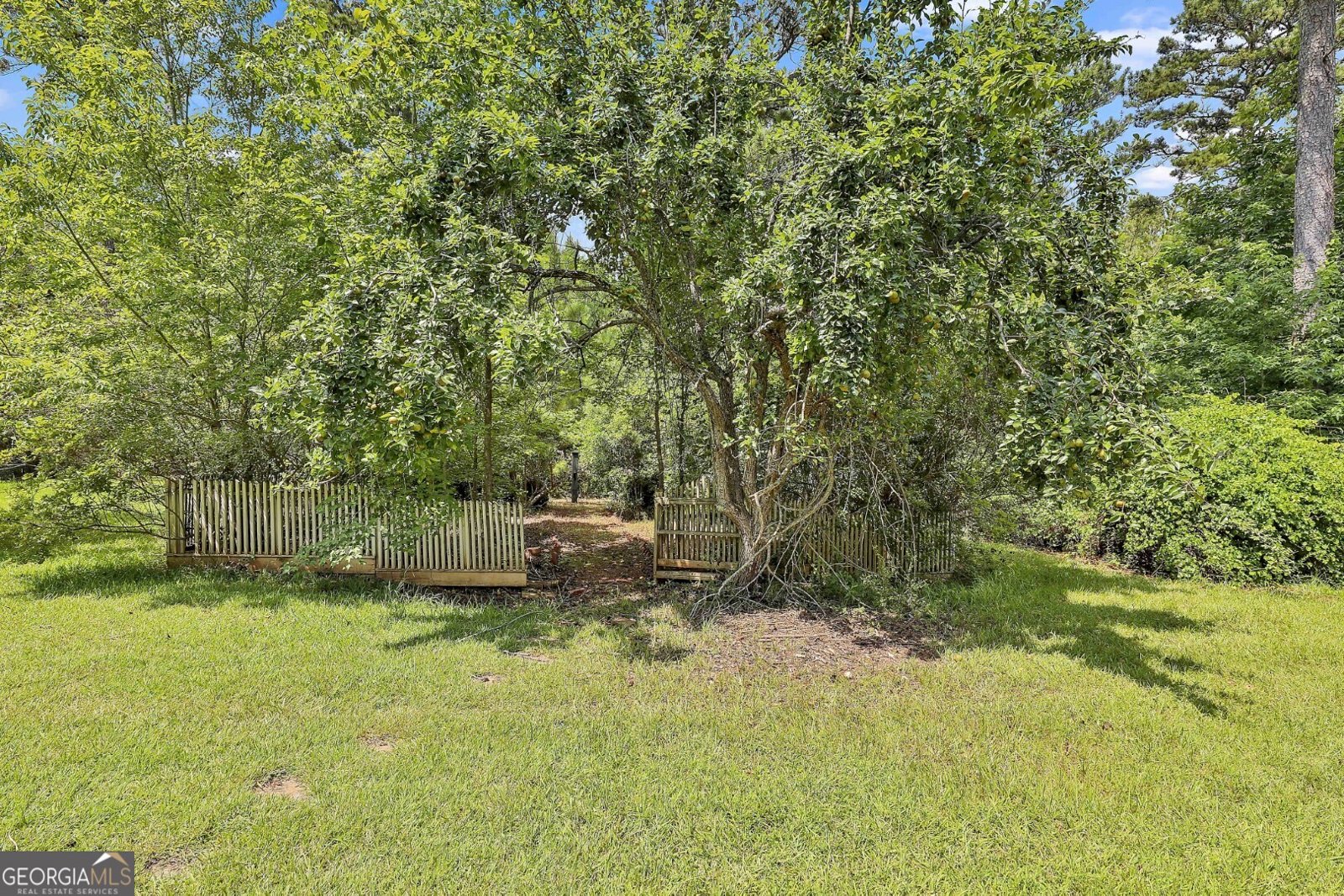 390 Trammell Road Moreland - 24