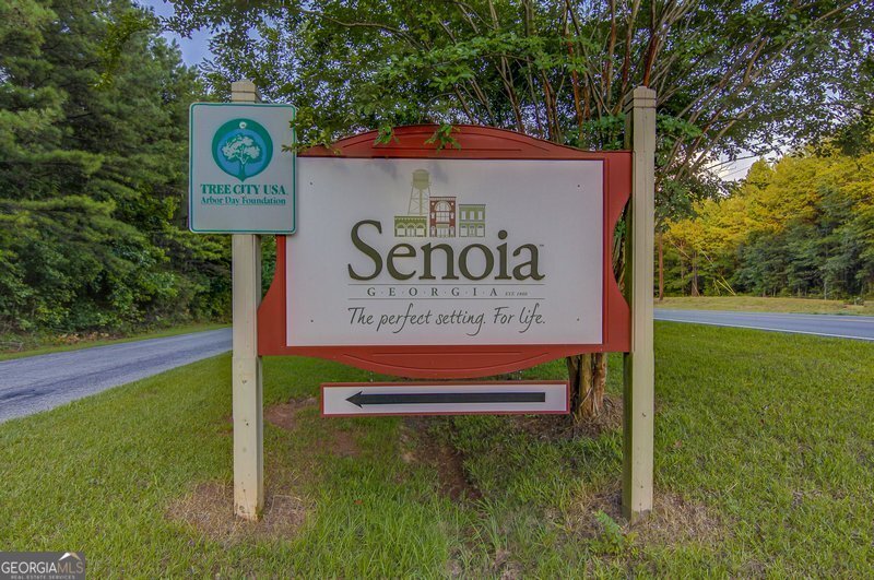 58 Brook Run Senoia - 48