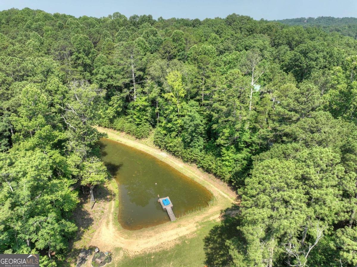 7843 Hwy 382 Ellijay - 1