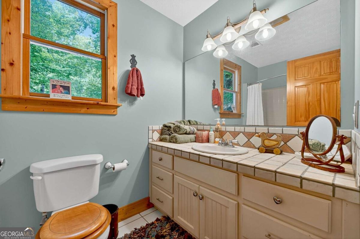 7843 Hwy 382 Ellijay - 34