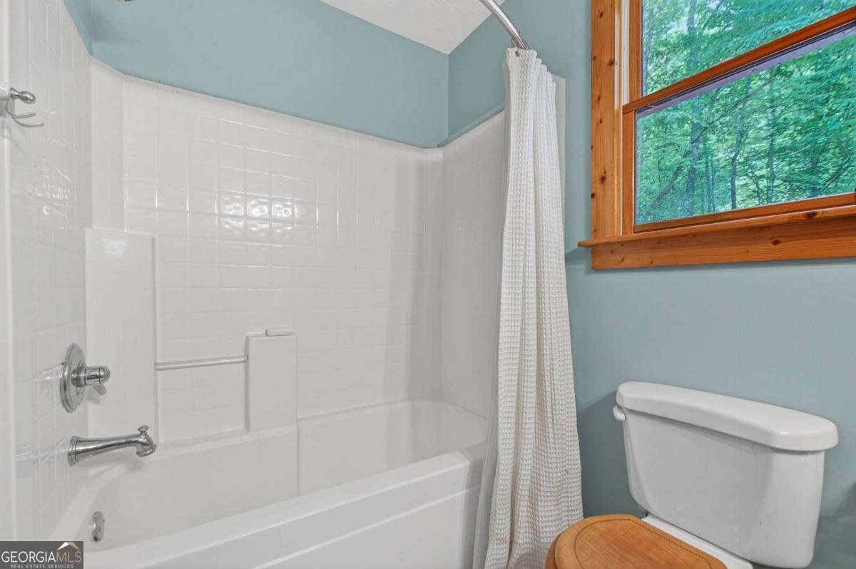 7843 Hwy 382 Ellijay - 35
