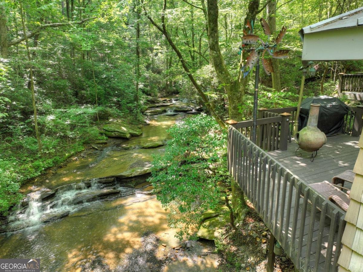 7843 Hwy 382 Ellijay - 39
