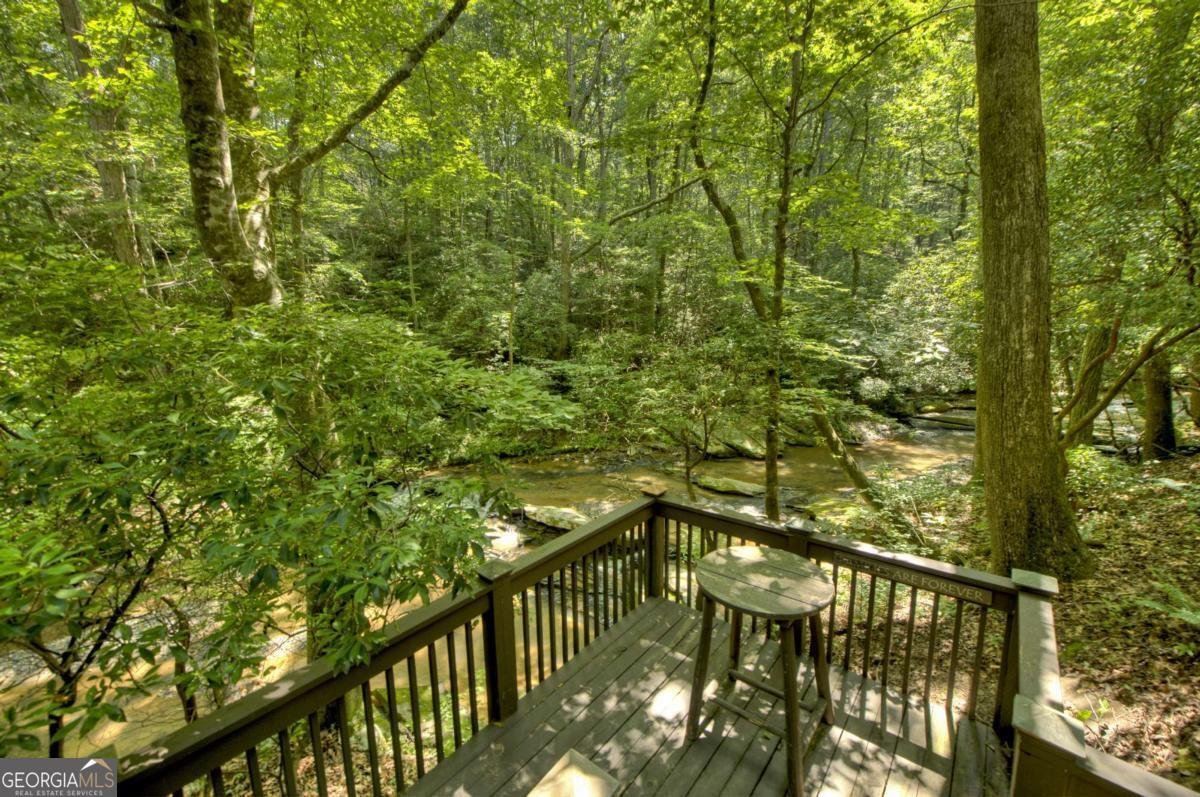 7843 Hwy 382 Ellijay - 4
