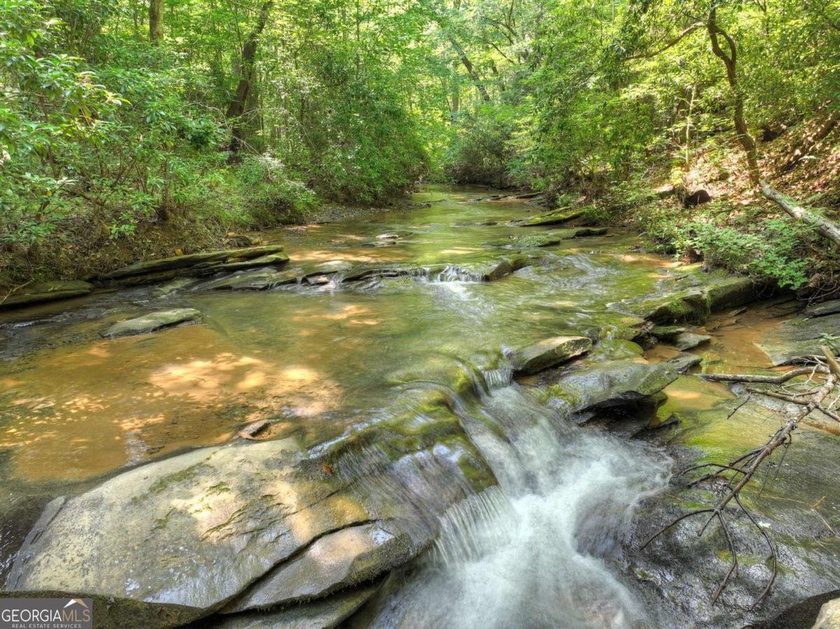 7843 Hwy 382 Ellijay - 40