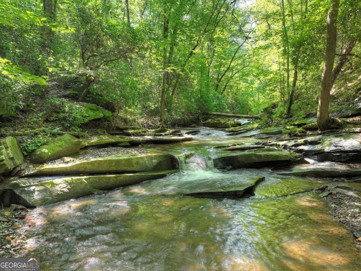 7843 Hwy 382 Ellijay - 41