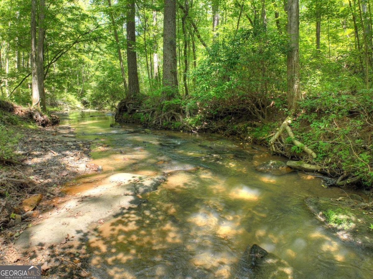 7843 Hwy 382 Ellijay - 56