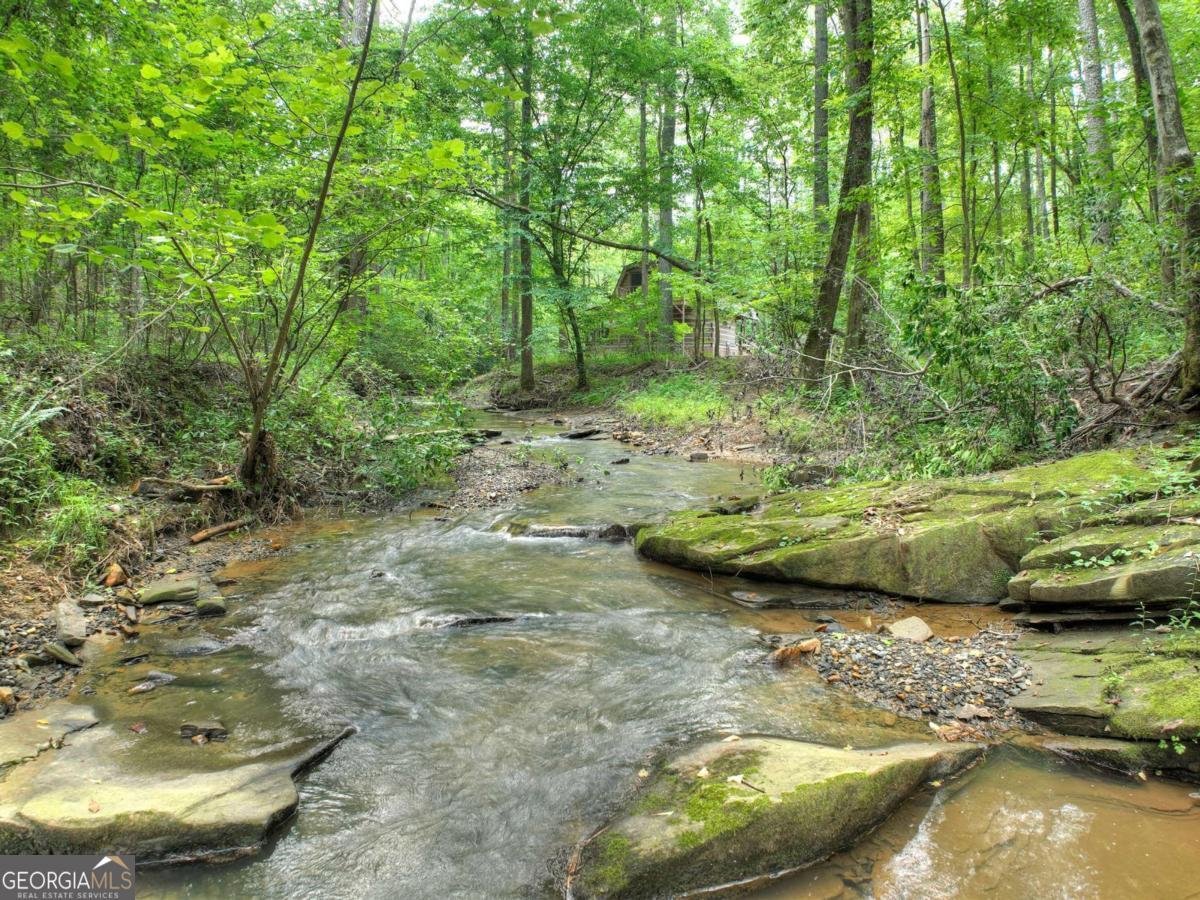 7843 Hwy 382 Ellijay - 57