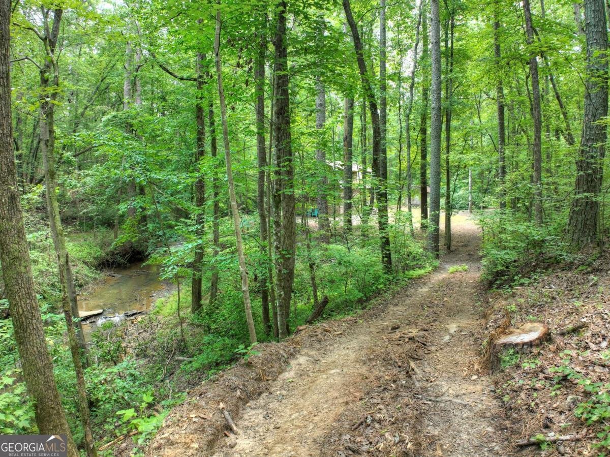 7843 Hwy 382 Ellijay - 58