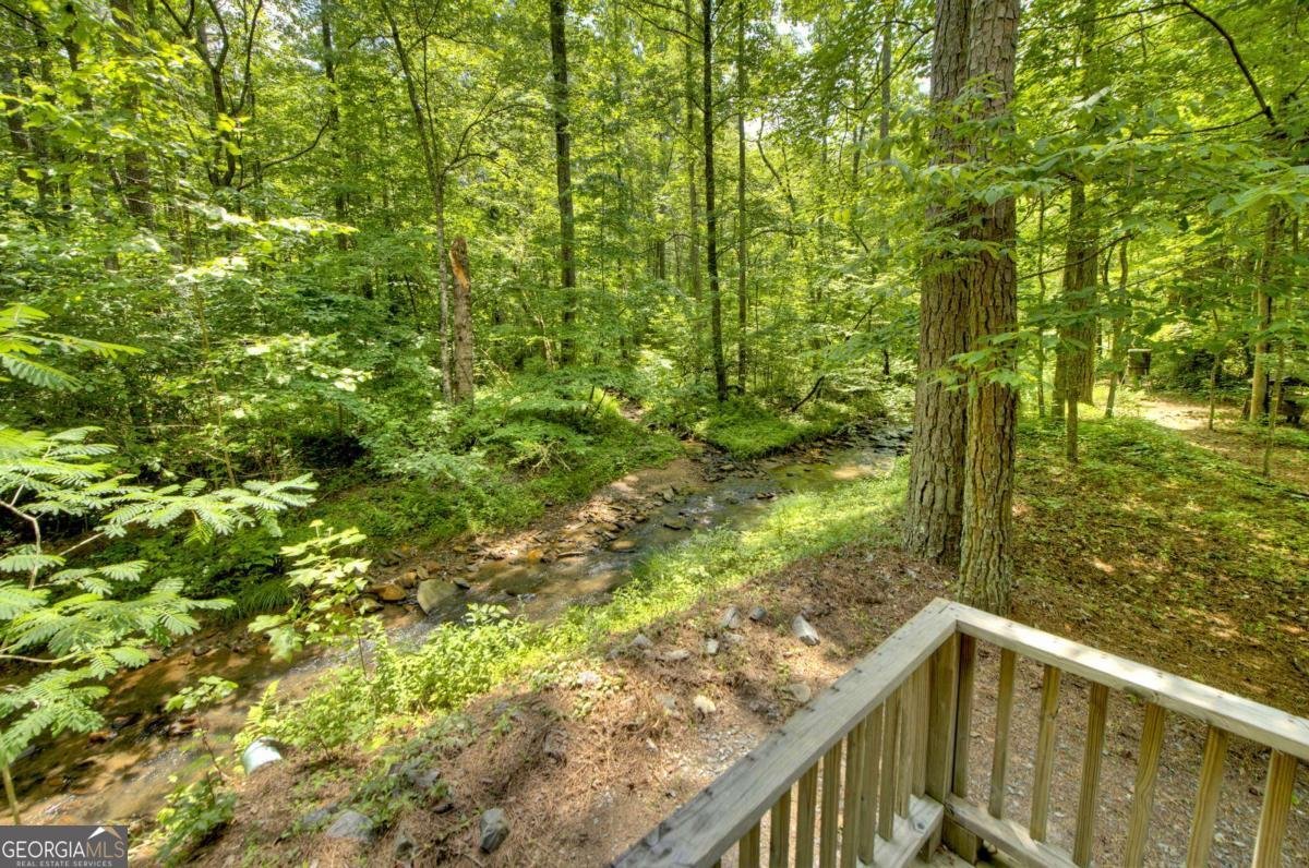 7843 Hwy 382 Ellijay - 70
