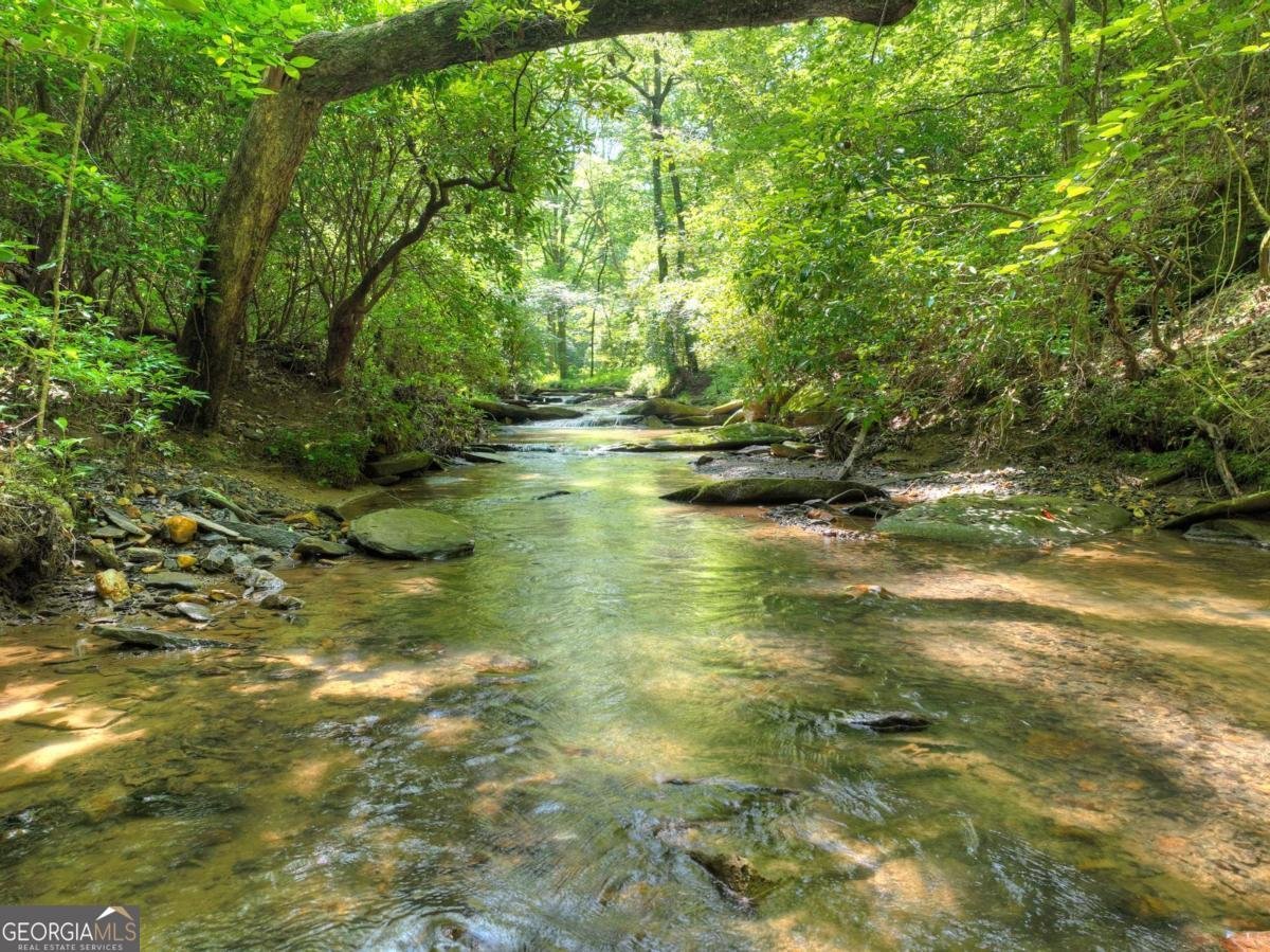 7843 Hwy 382 Ellijay - 71