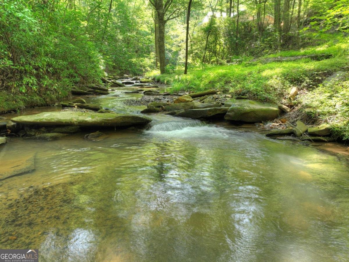 7843 Hwy 382 Ellijay - 73