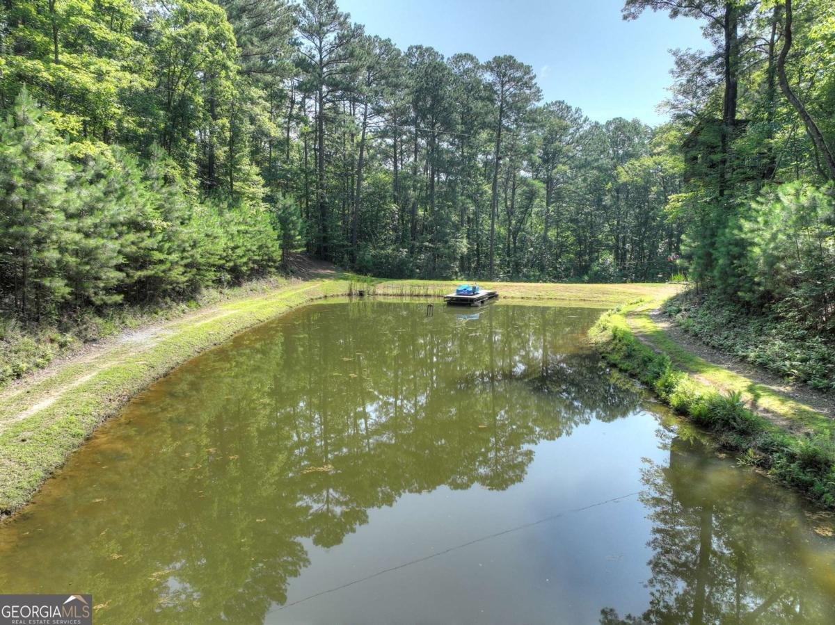 7843 Hwy 382 Ellijay - 79
