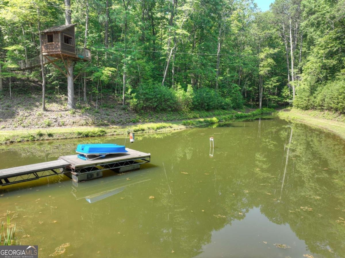 7843 Hwy 382 Ellijay - 80